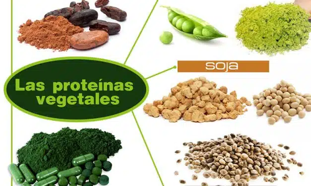¿Proteína Vegetal es mi mejor opción?