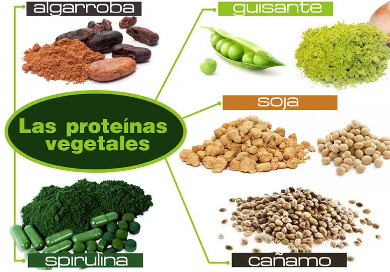 ¿Proteína Vegetal es mi mejor opción?