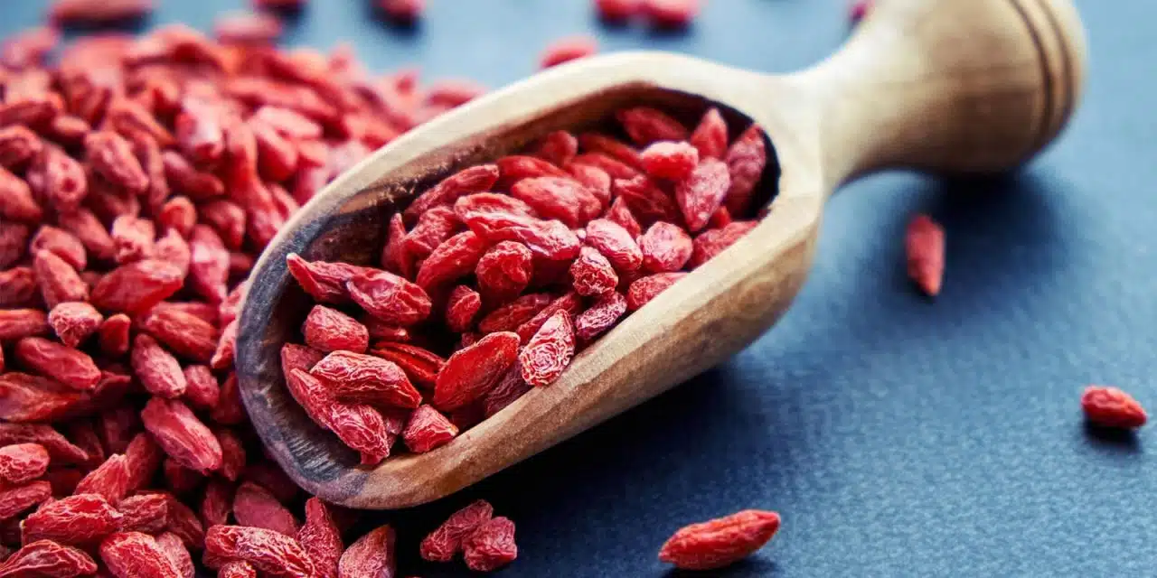 Descubre las sorprendentes propiedades de las Bayas de Goji