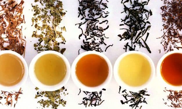 7 Infusiones Mágicas para Tu Bienestar: Relajación y Salud en Cada Sorbo