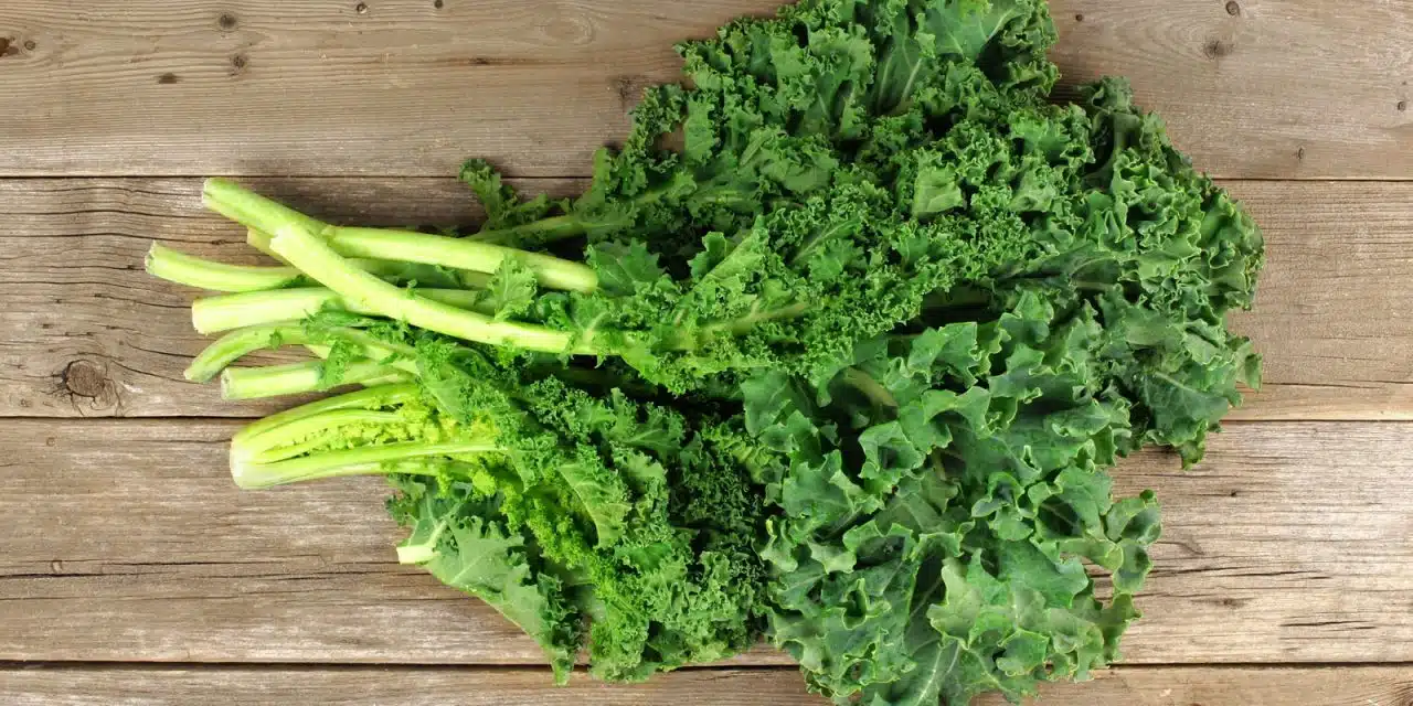Kale: El Supervegetal de Moda y sus Beneficios