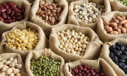 Alimentos Ricos en Hierro para Prevenir la Anemia