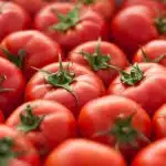 ¿Por Qué Es Malo Comer Tomate? Mitos y Realidades Sobre Su Consumo
