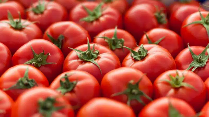 ¿Por Qué Es Malo Comer Tomate? Mitos y Realidades Sobre Su Consumo
