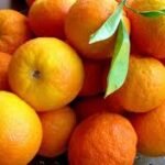 Dietas Detox: ¿Existe Realmente la ‘Desintoxicación’ o es un Engaño?